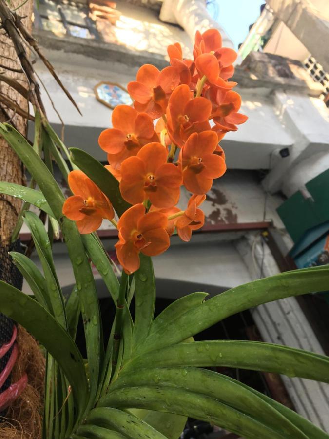 Cafe De Baan Raow Otel Bangkok Dış mekan fotoğraf